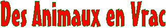 Des Animaux en Vrac